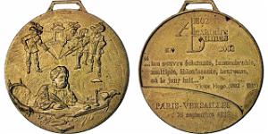 MEDAILLES D AFN - 253